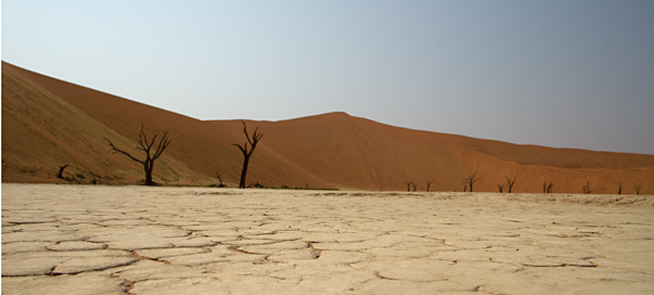woestijn